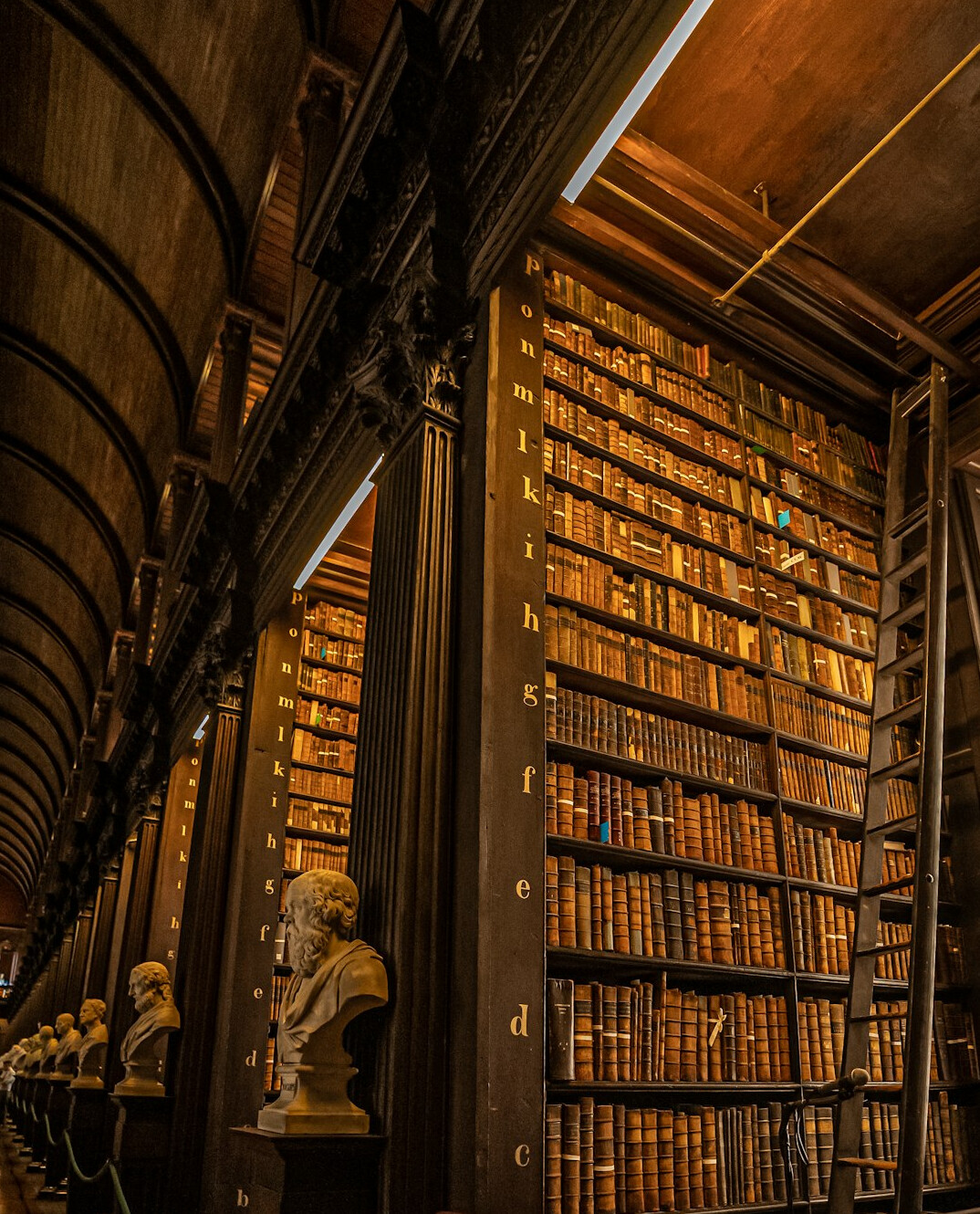 Historic library with tall wooden bookshelves and warm light